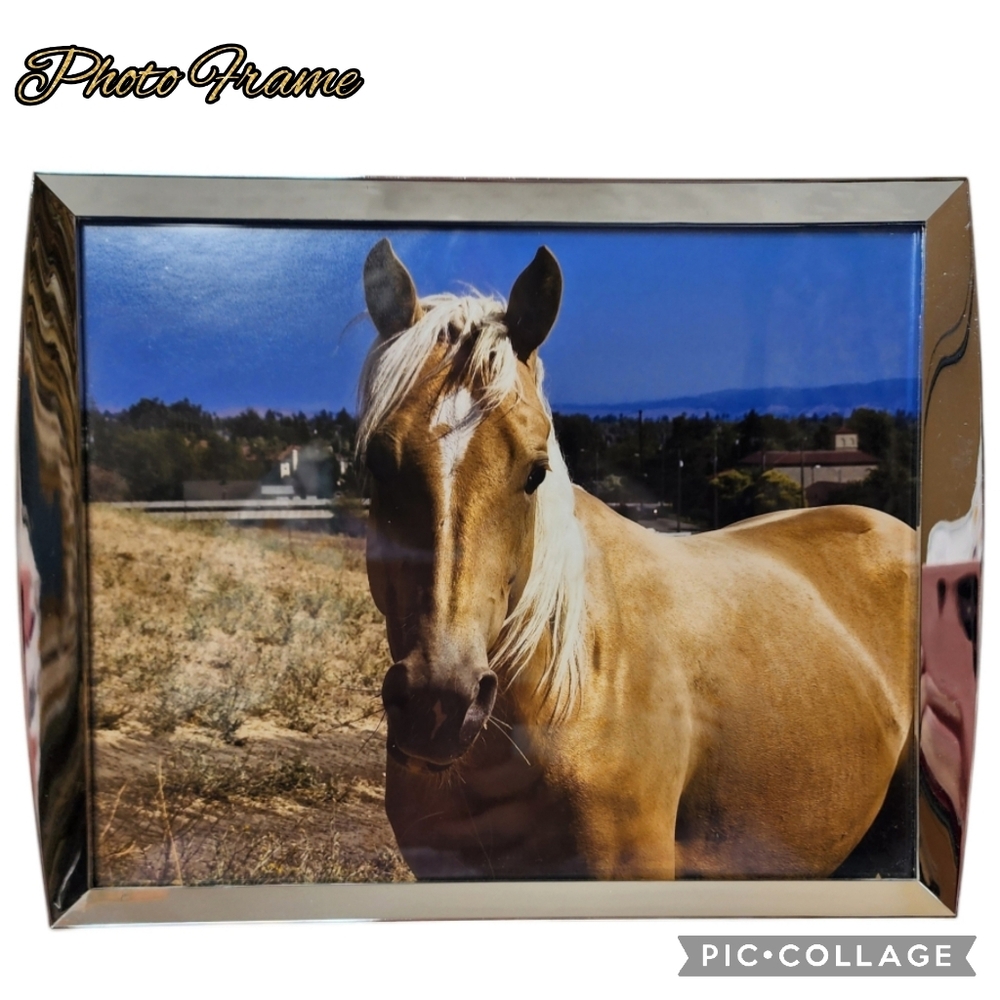 Photo frame black & silver beautiful for large photographs